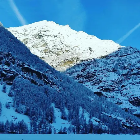 Monte Rosa Täsch
