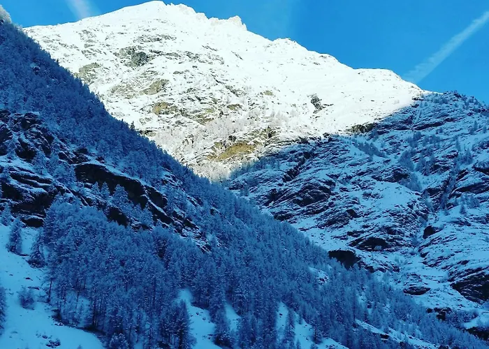Monte Rosa تاش